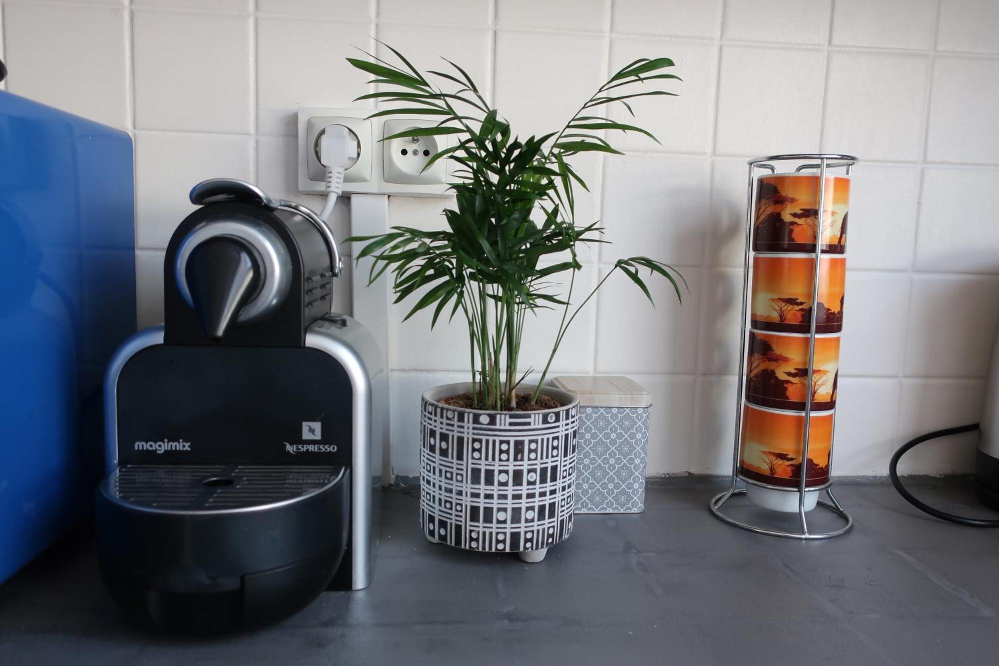 Appartement Avec Jardin Au Coeur De Rennes Buitenkant foto
